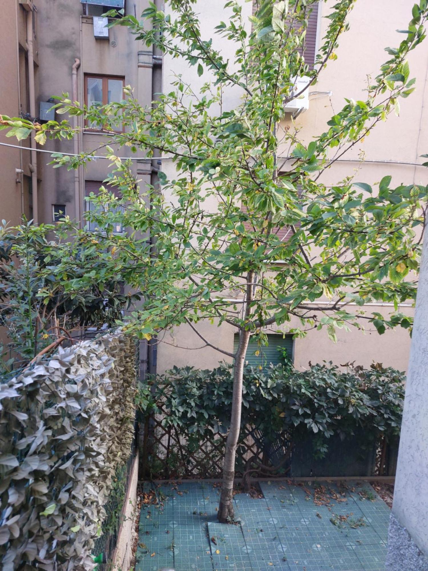 Il Ciliegio - Casa Vacanza マチェラータ エクステリア 写真